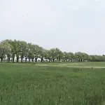 Tenuta La Fiscala Feriegård *