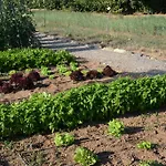 Tenuta La Fiscala Lantgård