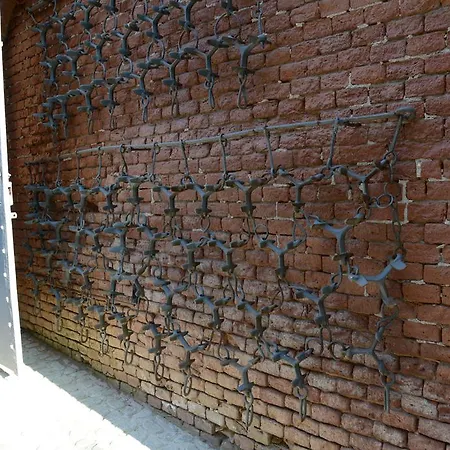 Tenuta La Fiscala İskenderiye