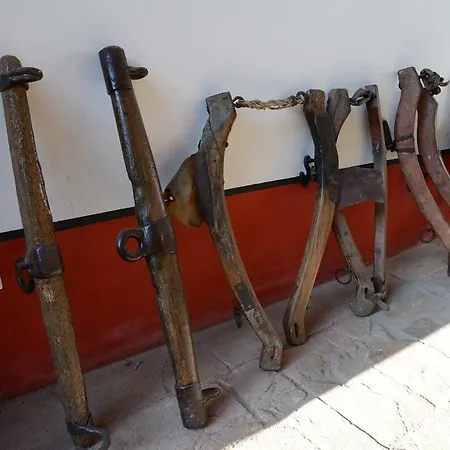 Tenuta La Fiscala İskenderiye