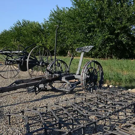 泰努塔拉菲斯卡拉农家乐 * 亚历山德里亚