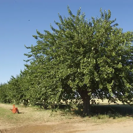 Alloggio per agriturismo Tenuta La Fiscala