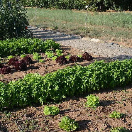Tenuta La Fiscala Farmház