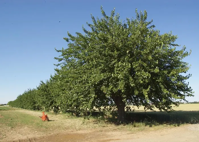 Alojamento de Turismo Rural Tenuta La Fiscala