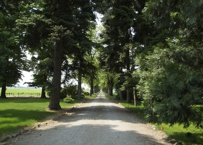 Alojamento de Turismo Rural Tenuta La Fiscala Alessandria